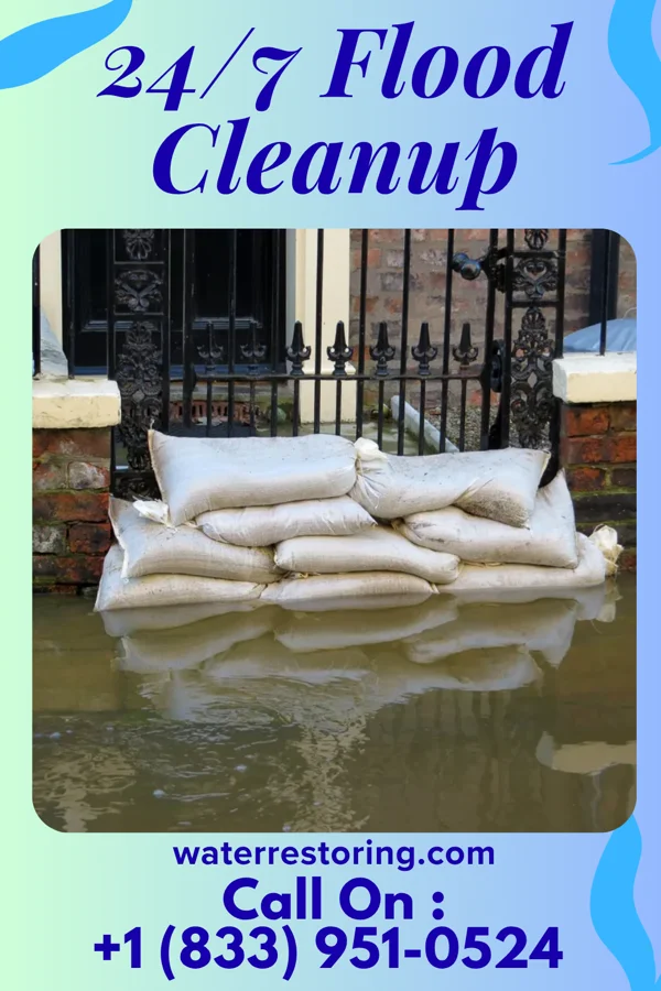 24/7 Flood Cleanup in Beulah Beach, OH
