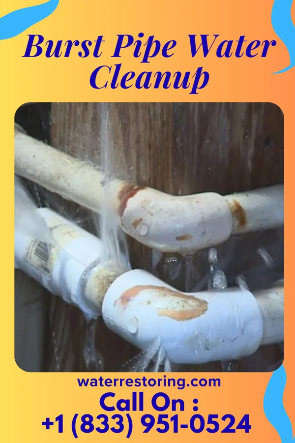 Burst Pipe Water Cleanup in Beulah Beach, OH