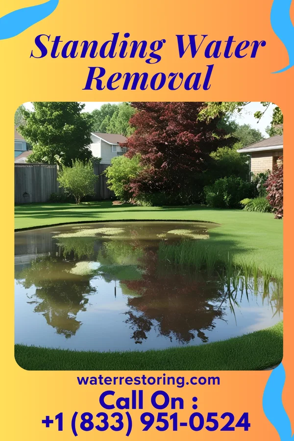 Standing Water Removal in Beulah Beach, OH